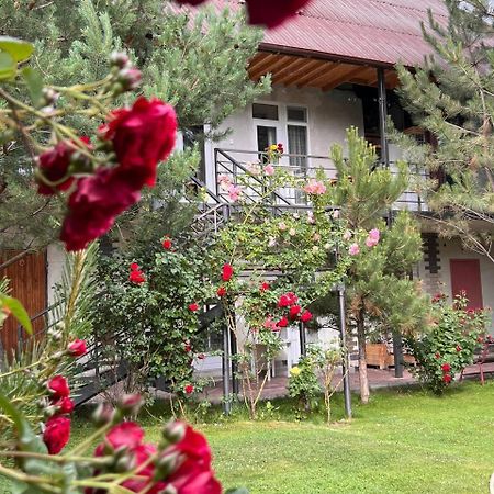 Podsolnukhi Guest House Czołponata Zewnętrze zdjęcie