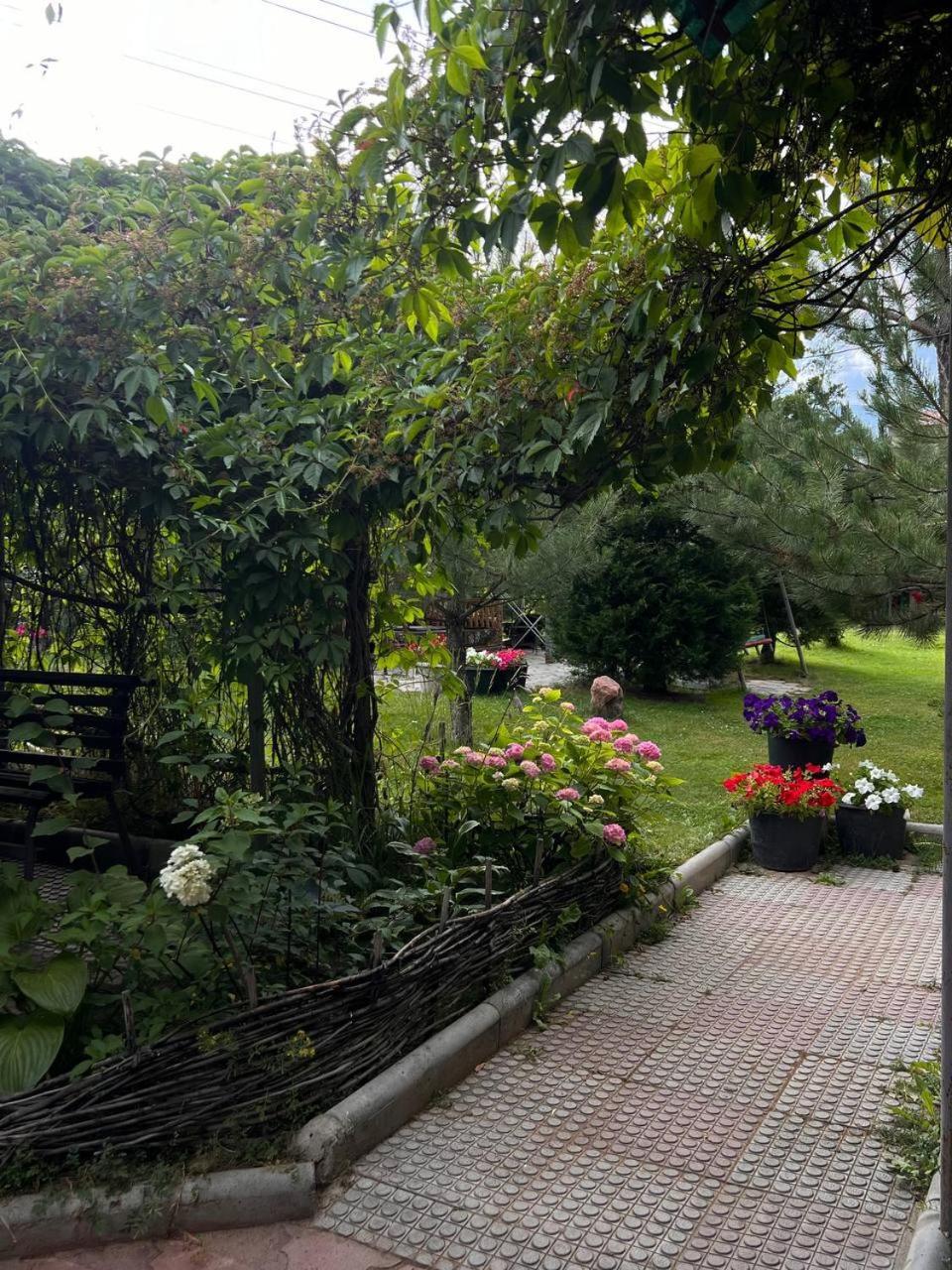 Podsolnukhi Guest House Czołponata Zewnętrze zdjęcie