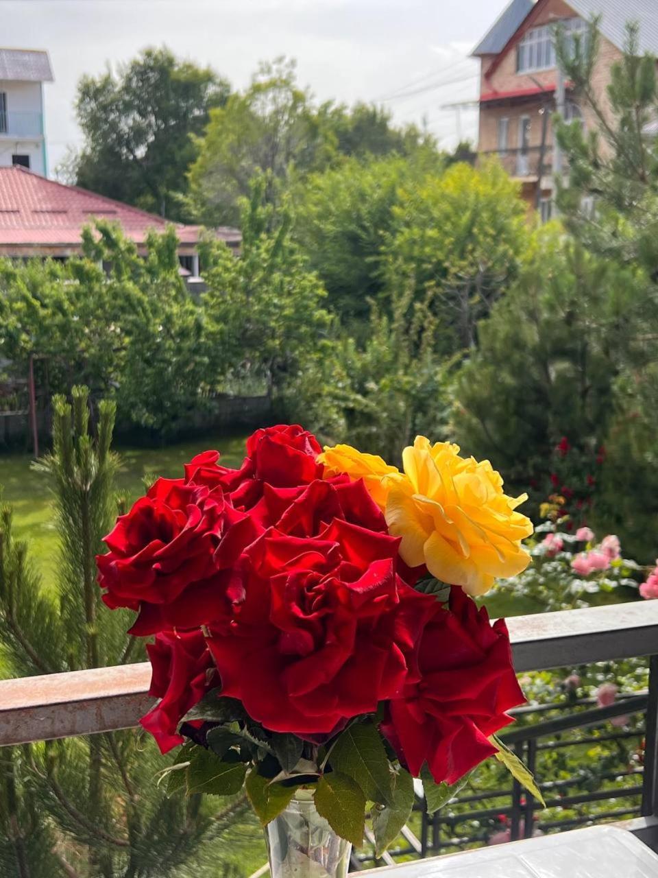 Podsolnukhi Guest House Czołponata Zewnętrze zdjęcie