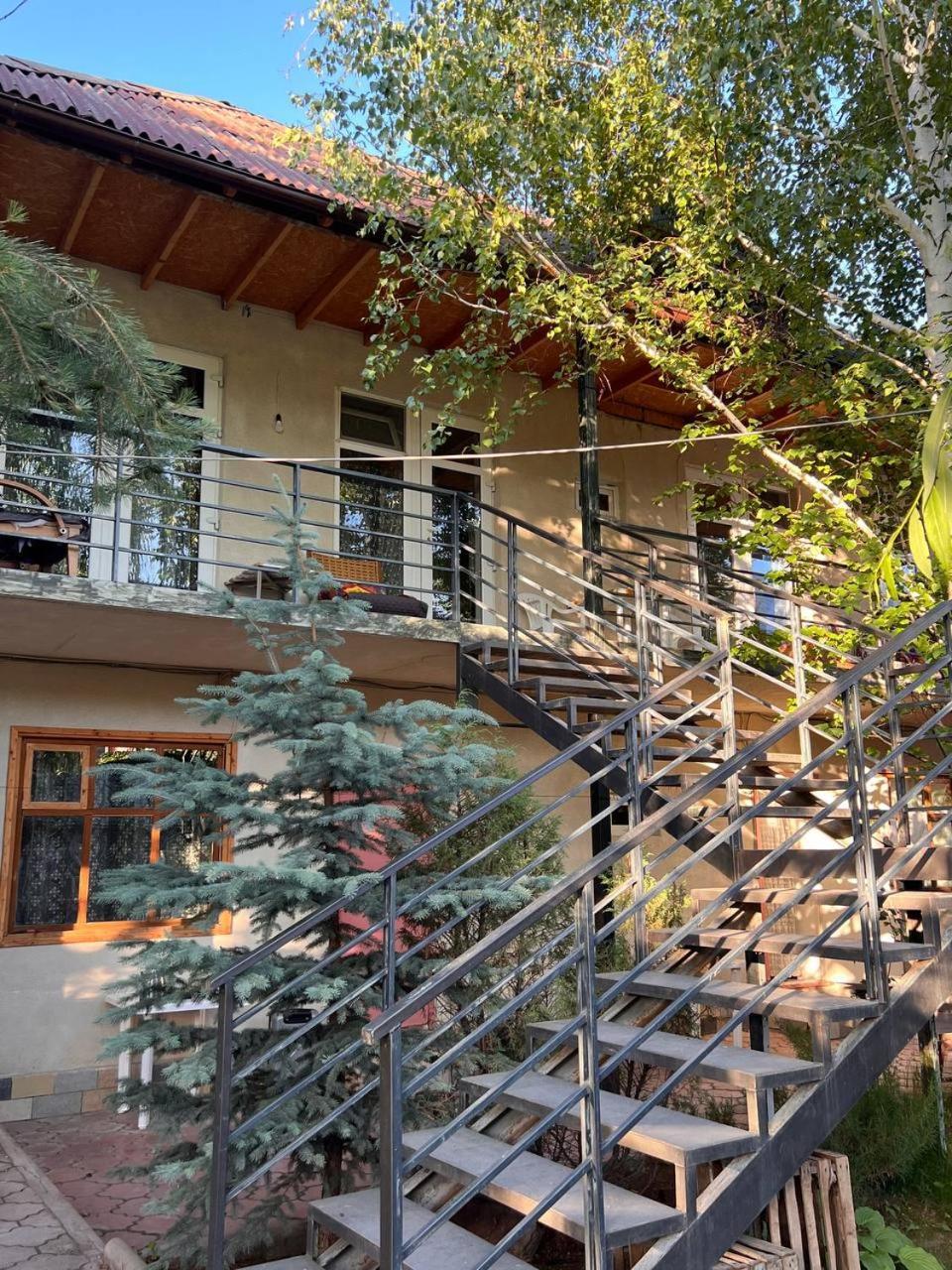 Podsolnukhi Guest House Czołponata Zewnętrze zdjęcie